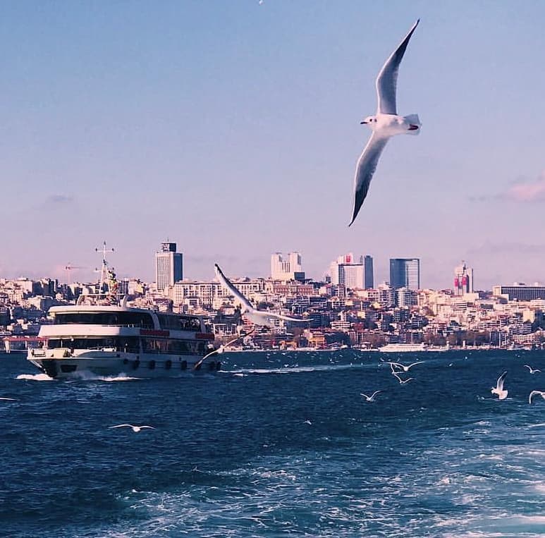 Cover image for Common Turkish Phrases For Travelers
