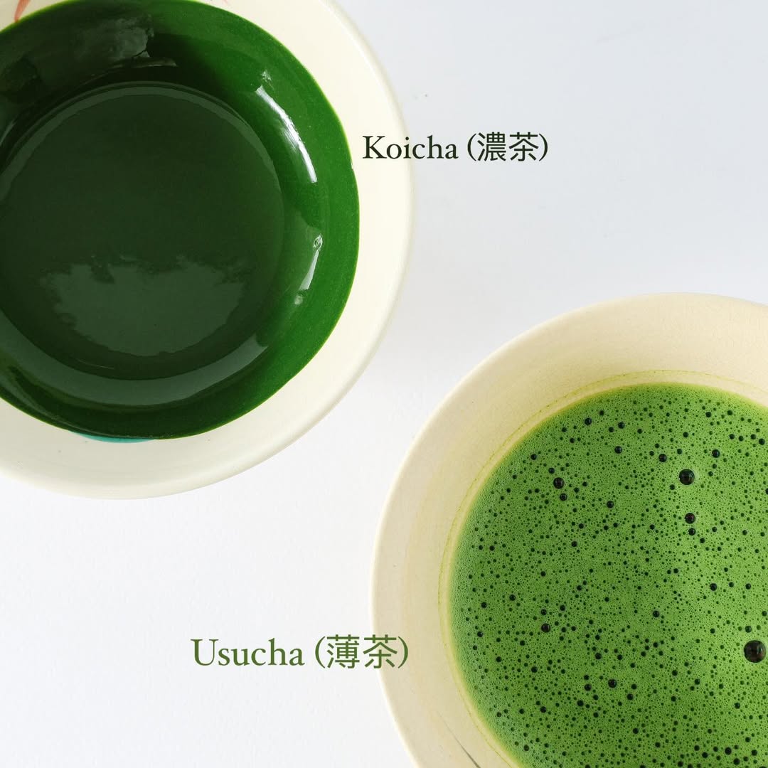 Matcha Usucha vs Koicha